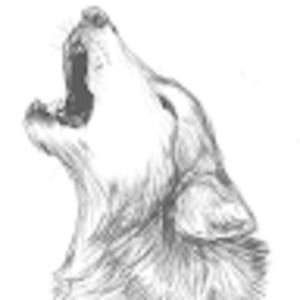 Meet your Posher, Natalia